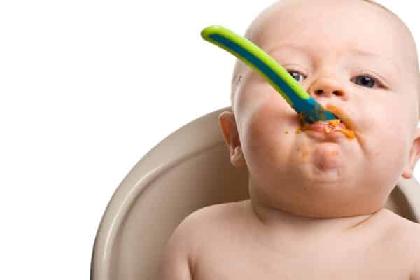 receitas de papinhas salgadas para bebês de 6 meses