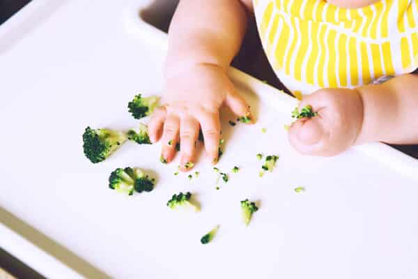o que é blw baby led-weaning