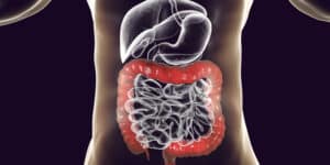 ações melatonina no intestino