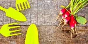 como-fazer-horta-em-casa