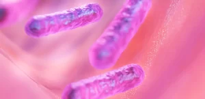 microbiota intestinal e saúde
