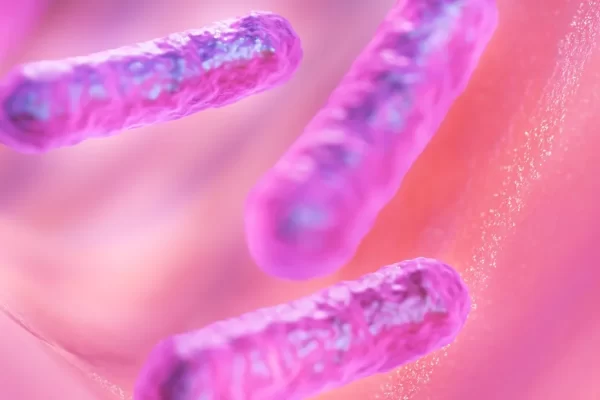 microbiota intestinal e saúde