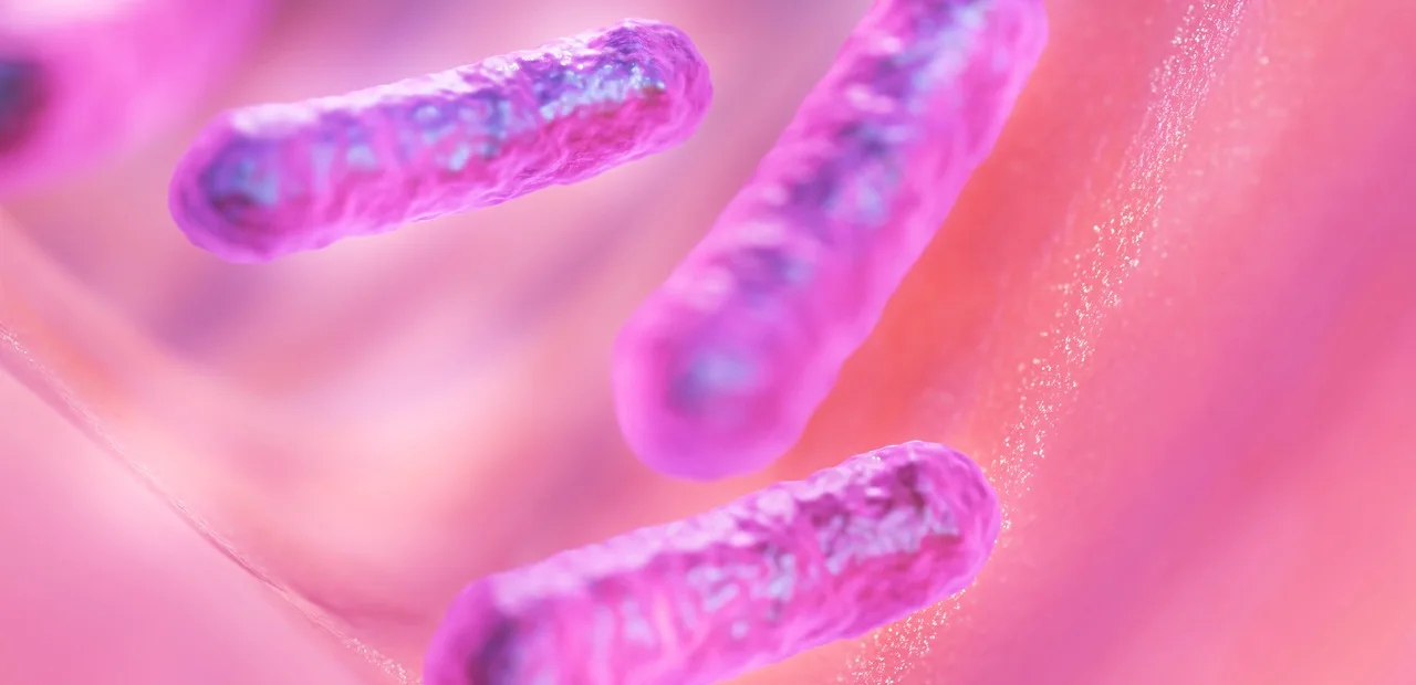 microbiota intestinal e saúde