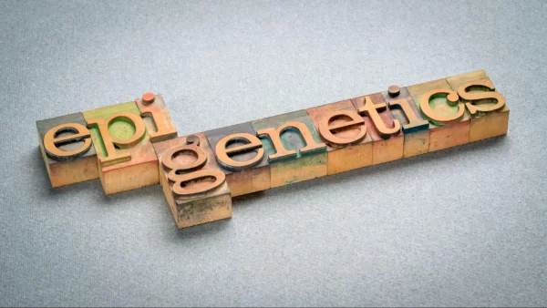 o que é epigenética