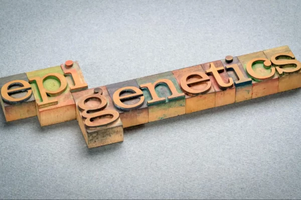 o que é epigenética